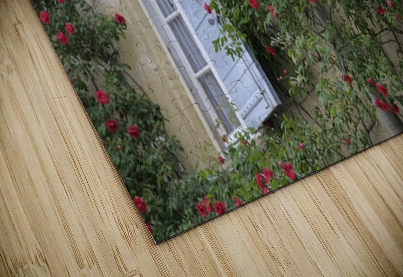 Roses climbing a wall Lourmarin Kevin Oke Puzzle