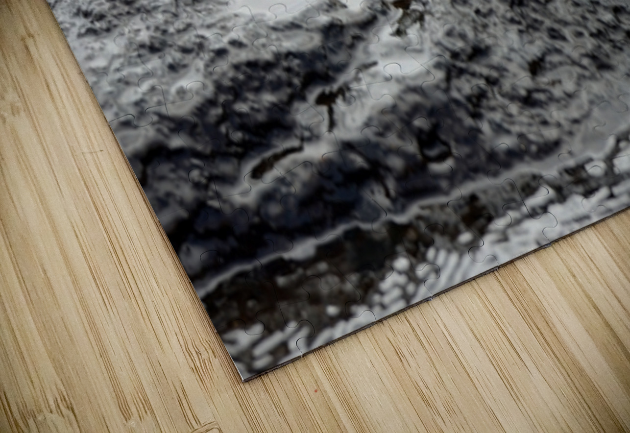 Sally Lightfoot crab Grapsus grapsus Urbina Bay Isabela Island Galapagos Islands Ecuador Kevin Oke Puzzle