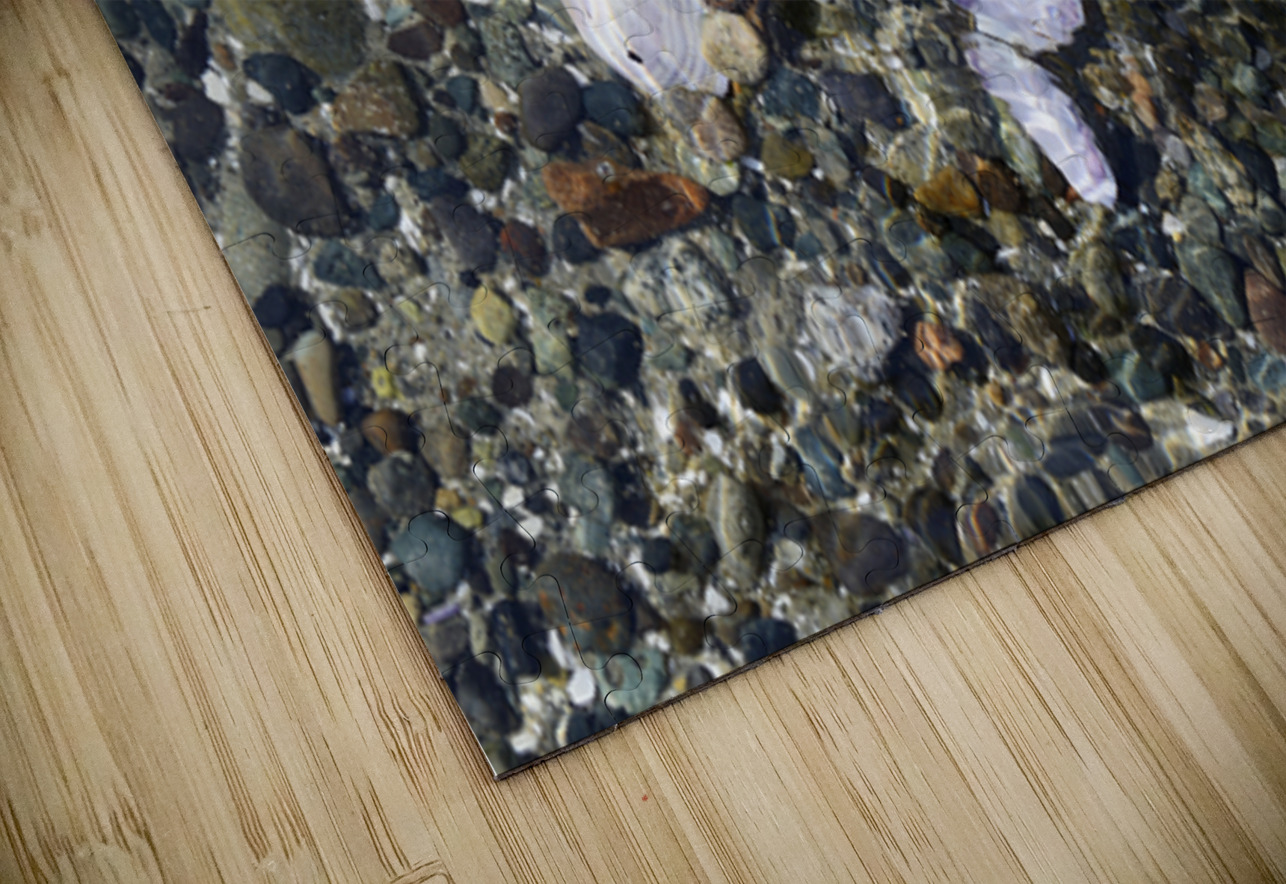 Detail image of rocks and shells on the beach Kevin Oke Puzzle