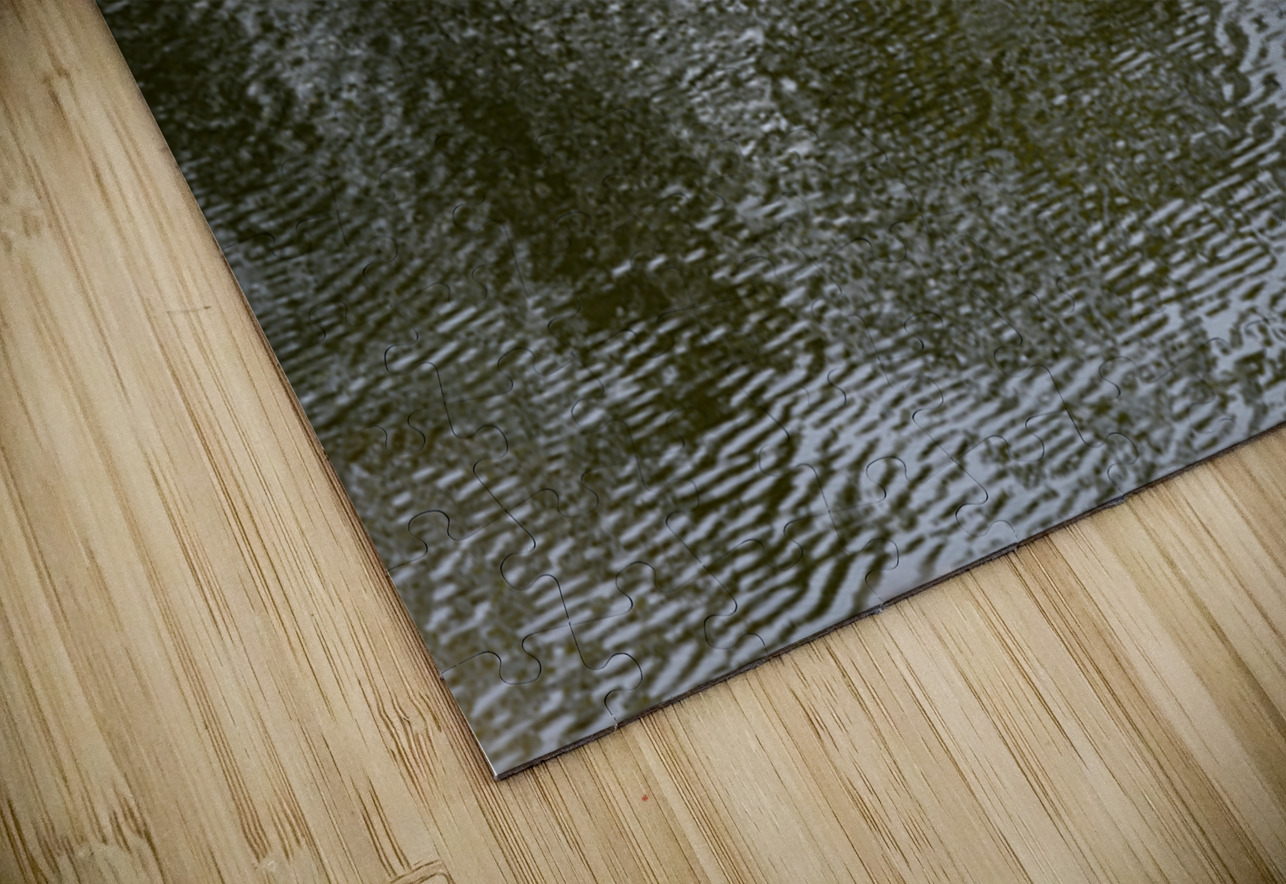 Trees reflected in the ocean Kevin Oke Puzzle