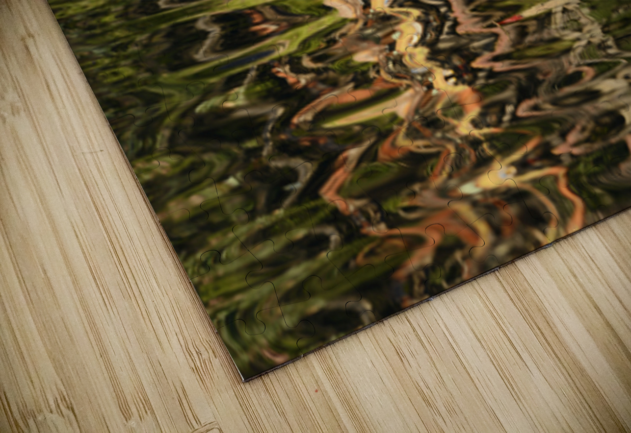 Trees reflected in the ocean Kevin Oke Puzzle