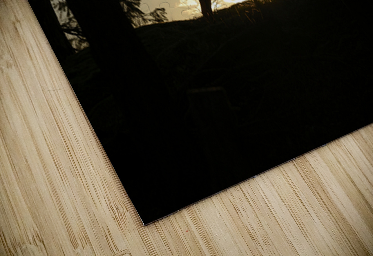 Large dog silhouetted at sunset - Wallace Island Kevin Oke Puzzle