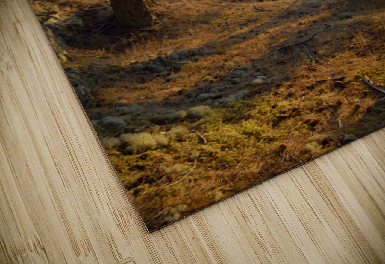 Fir trees on a grassy hillside. James Island Kevin Oke Puzzle