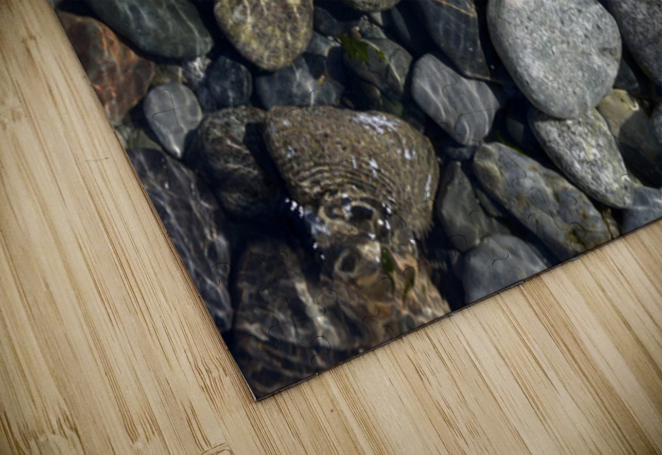 Polished rocks under the water. Sucia Island Kevin Oke Puzzle