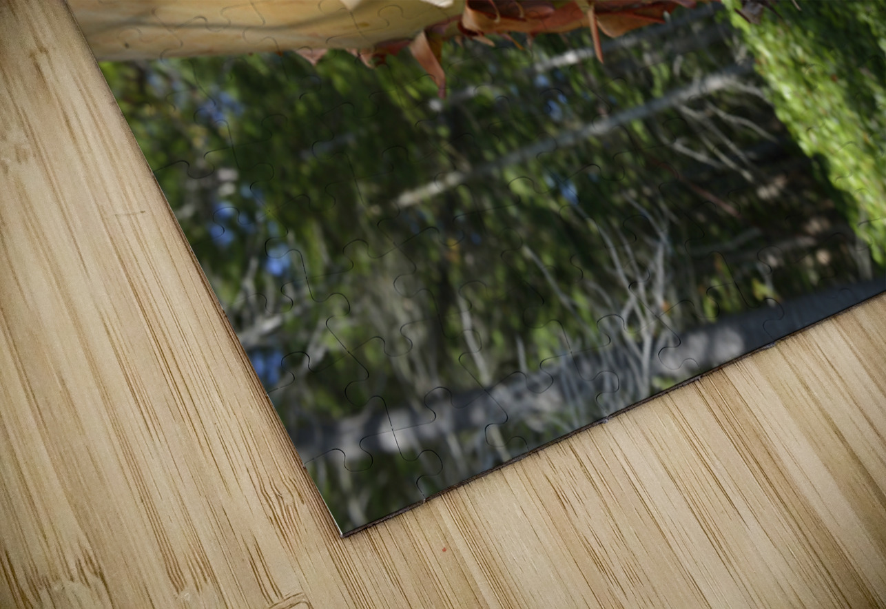 Madrona tree trunk with peeling bark Kevin Oke Puzzle