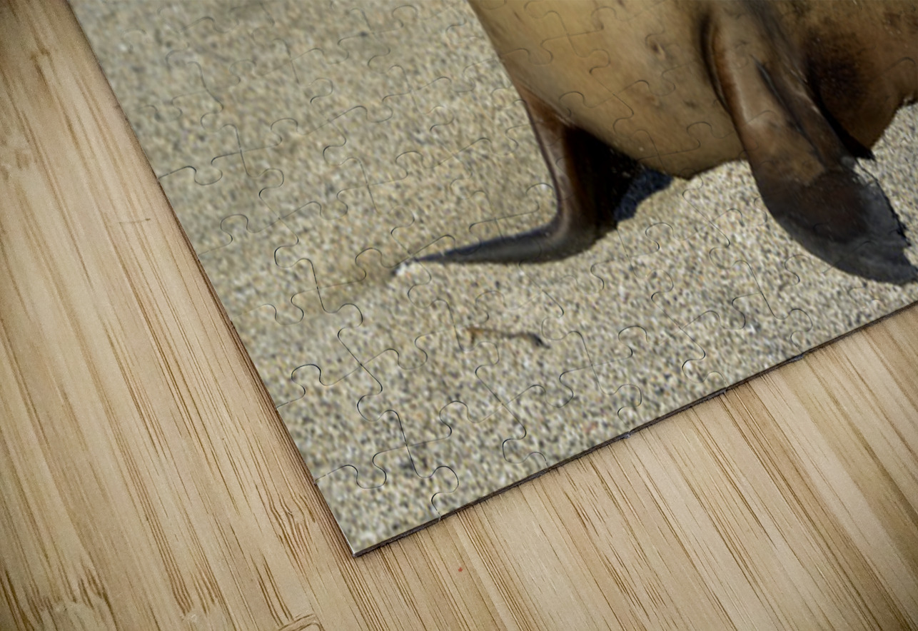 KO EC 13710 Kevin Oke Puzzle