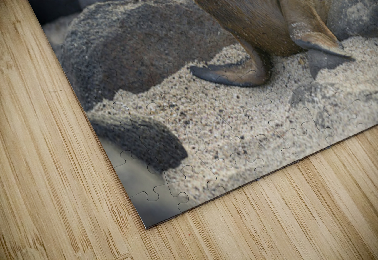 KO EC 14065 Kevin Oke Puzzle