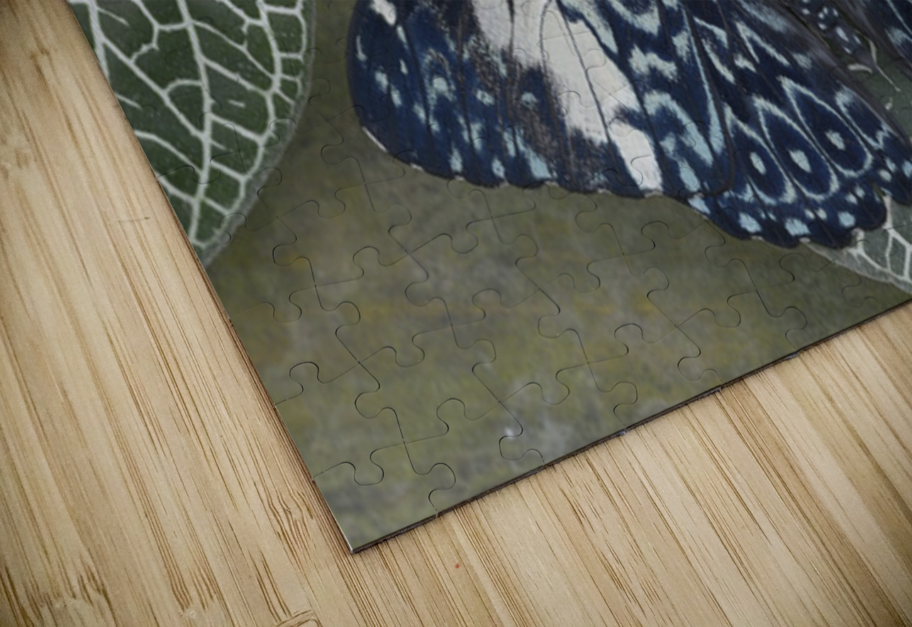 KO EC 17760 Kevin Oke Puzzle