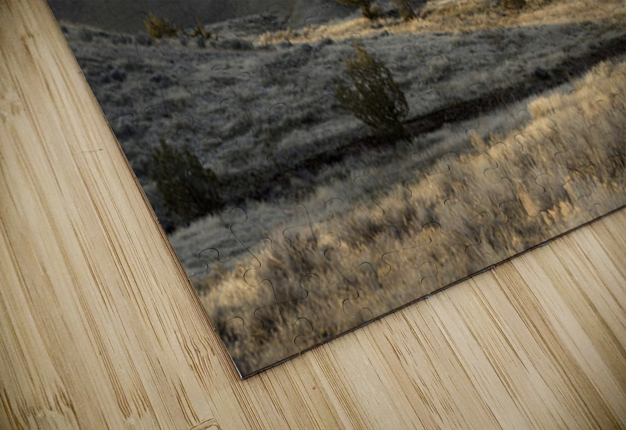 John Day Fossil Beds National Monument Oregon Kevin Oke Puzzle