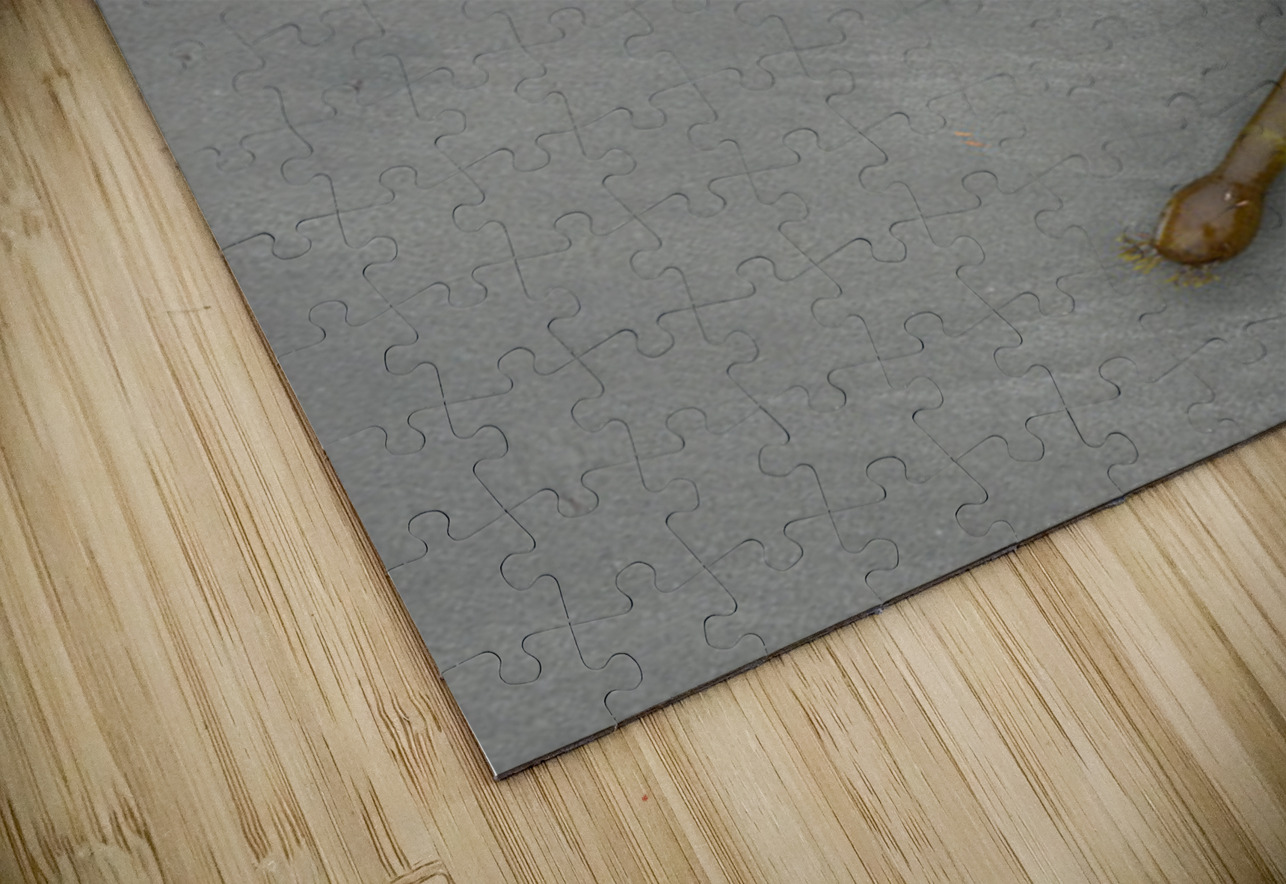 Bull kelp Florencia Beach Pacific Rim National Park Kevin Oke Puzzle