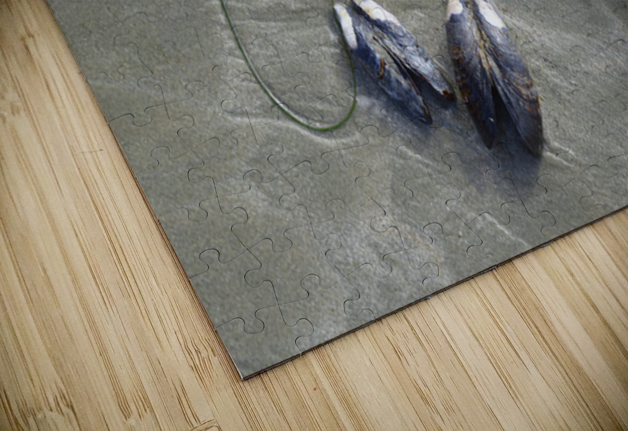 Abstract photo of mussels on the sand Chesterman Beach Kevin Oke Puzzle