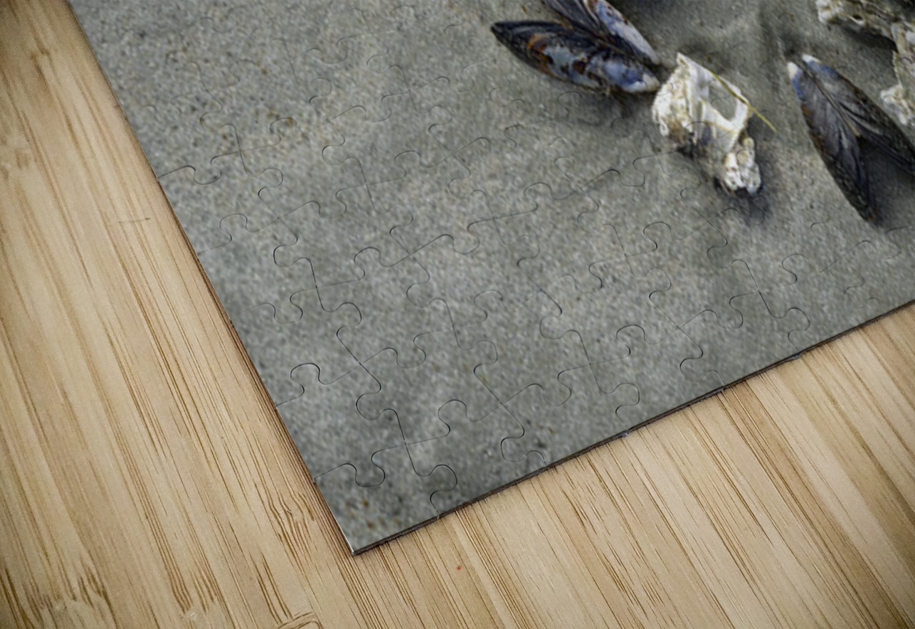 Chesterman Beach Vancouver Island British Columbia Kevin Oke Puzzle