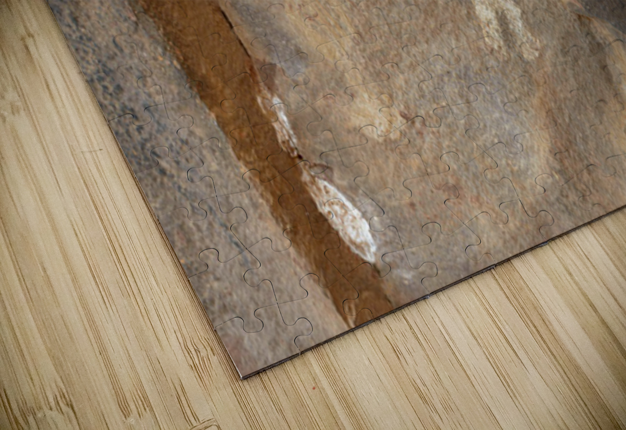 Petroglyphs at the Palatki Ruins Arizona USA Kevin Oke Puzzle