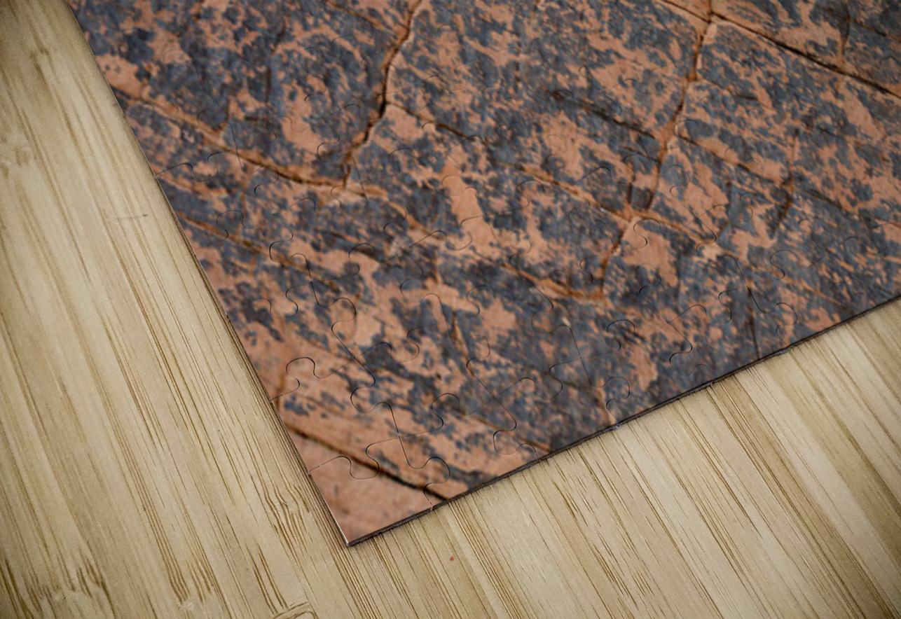 KO D22499 Kevin Oke Puzzle