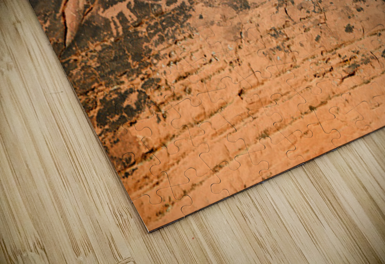 Petroglyphs near Atlatl Rock Valley of Fire State Park Nevada USA Kevin Oke Puzzle