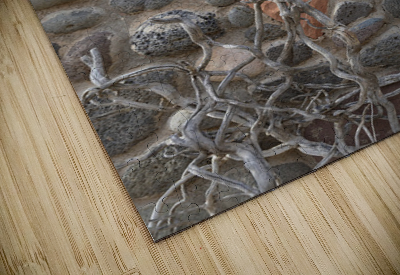 V Bar V stone ranch sign at Crane Petroglyph Heritage Site in Verde Valley Arizona Kevin Oke Puzzle