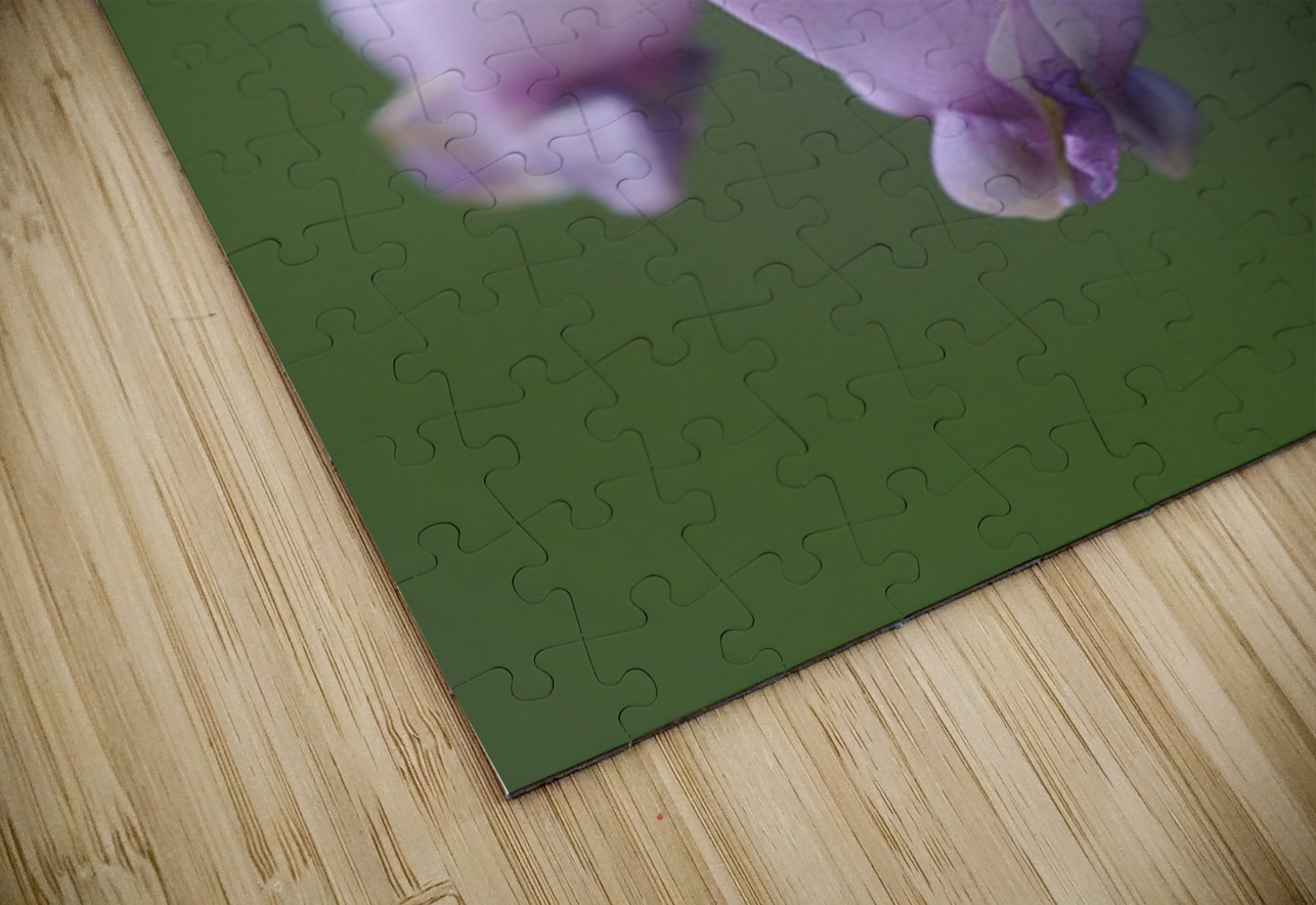 KO A48939 Kevin Oke Puzzle