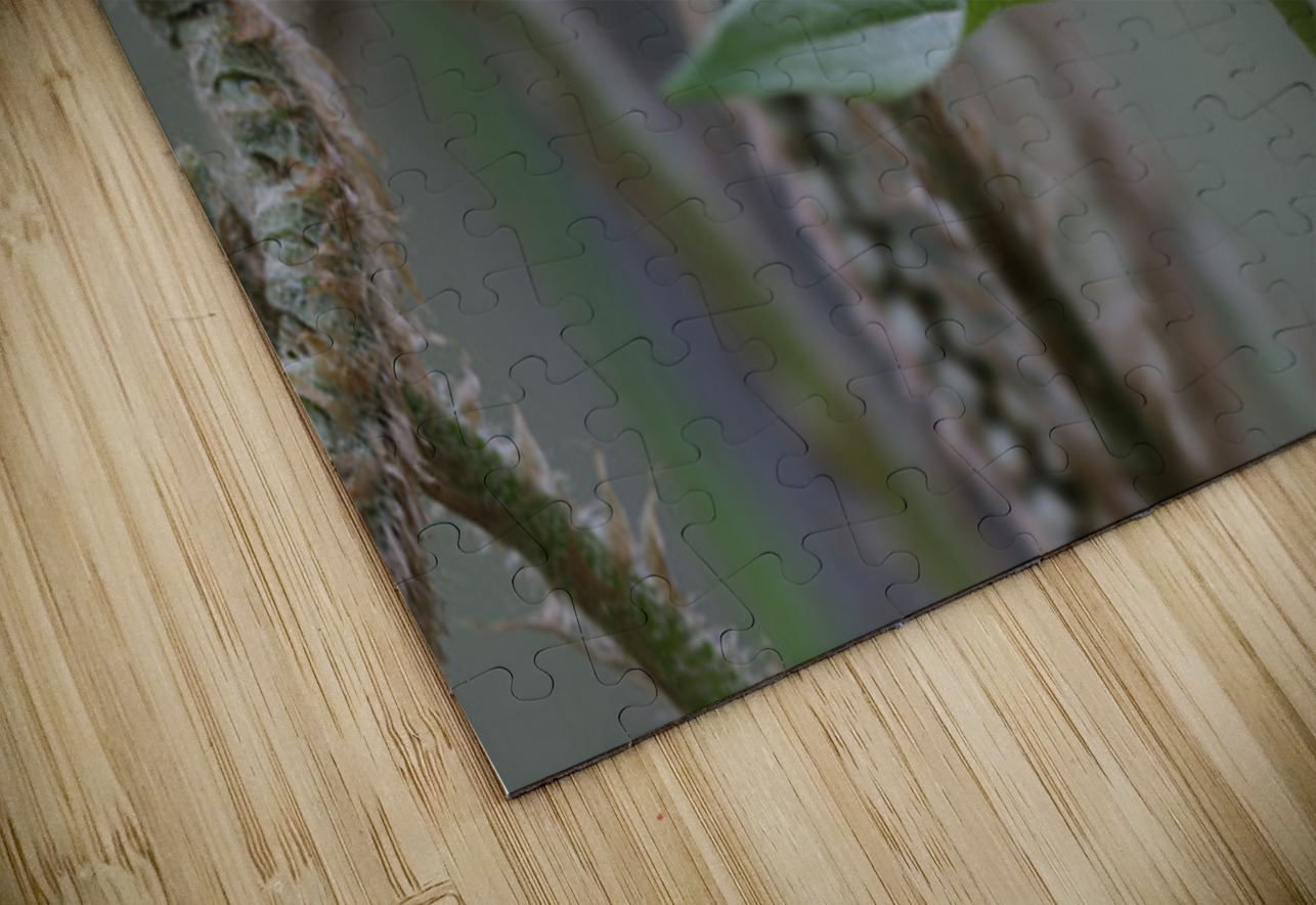 KO A17880 Kevin Oke Puzzle