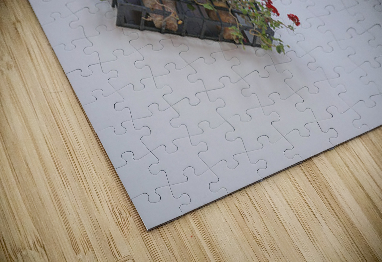 Windows with potted plants  Mondragons Palace Ronda Málaga Andalusia Spain Kevin Oke Puzzle