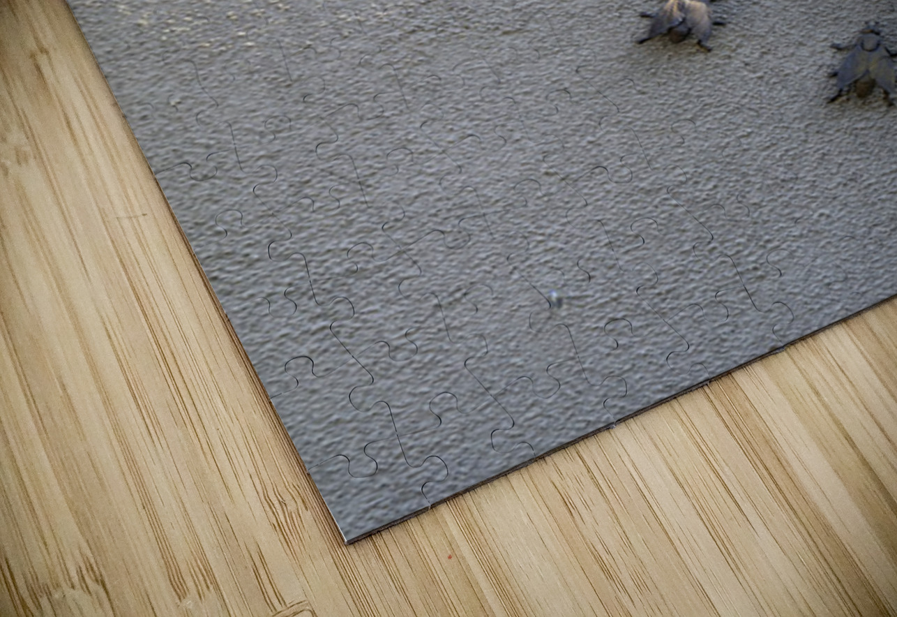 Metal fly sculpture on a house wall Tannay Nièvre Burgundy France Kevin Oke Puzzle