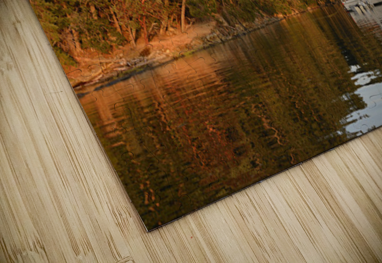 DeCourcy Island British Columbia Canada Kevin Oke Puzzle