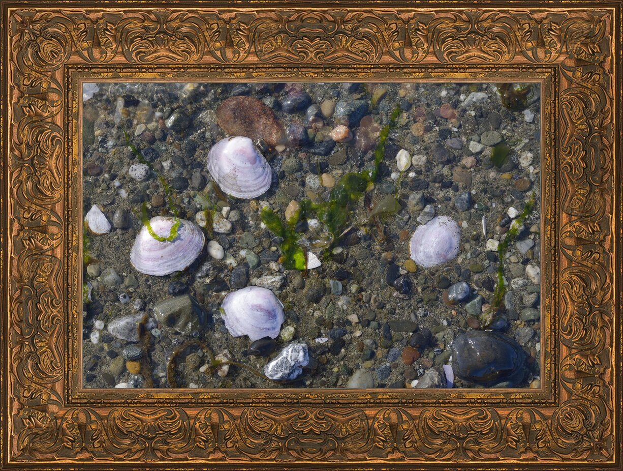 Impression de cadre personnalisé