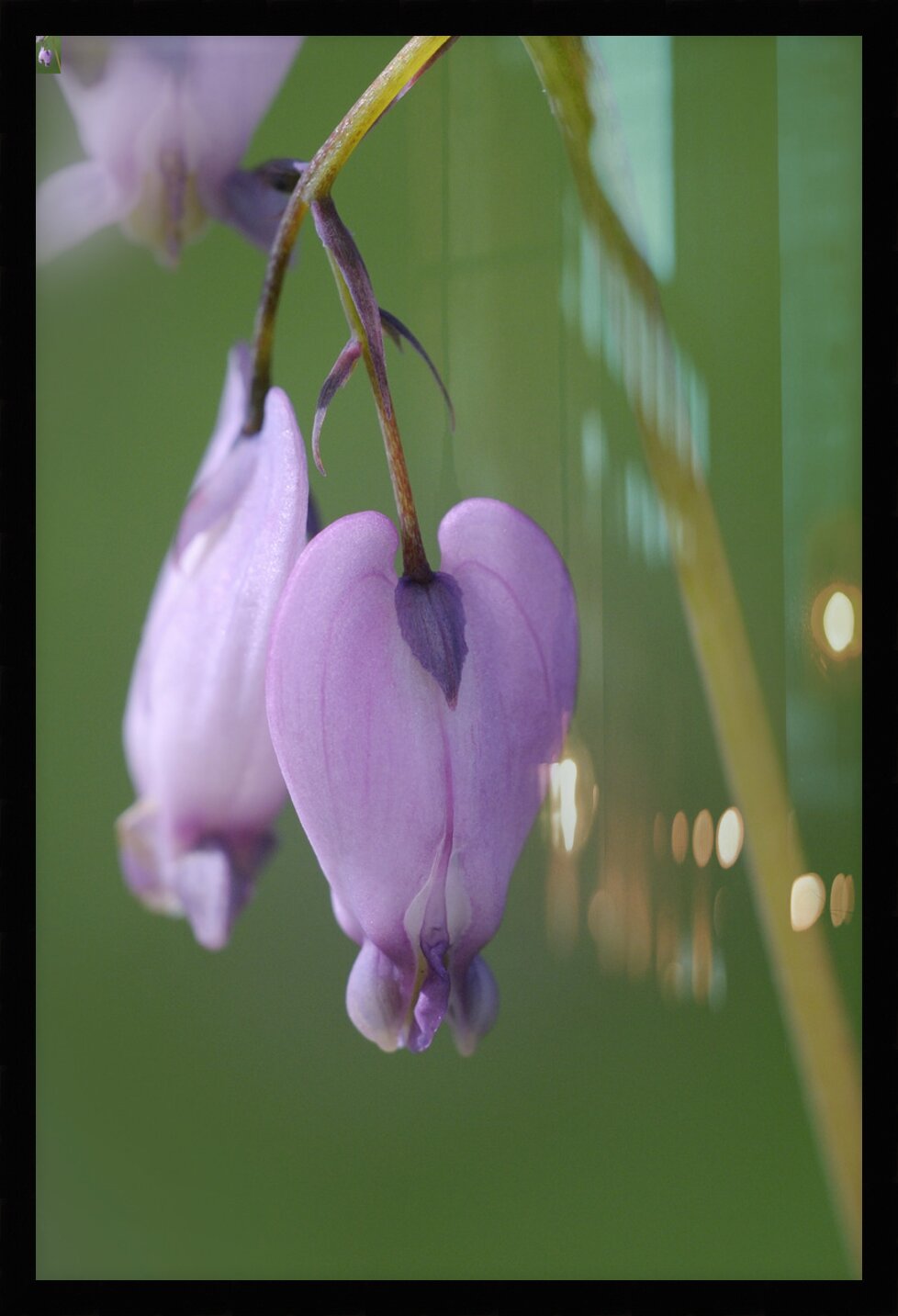 Impression de cadre personnalisé