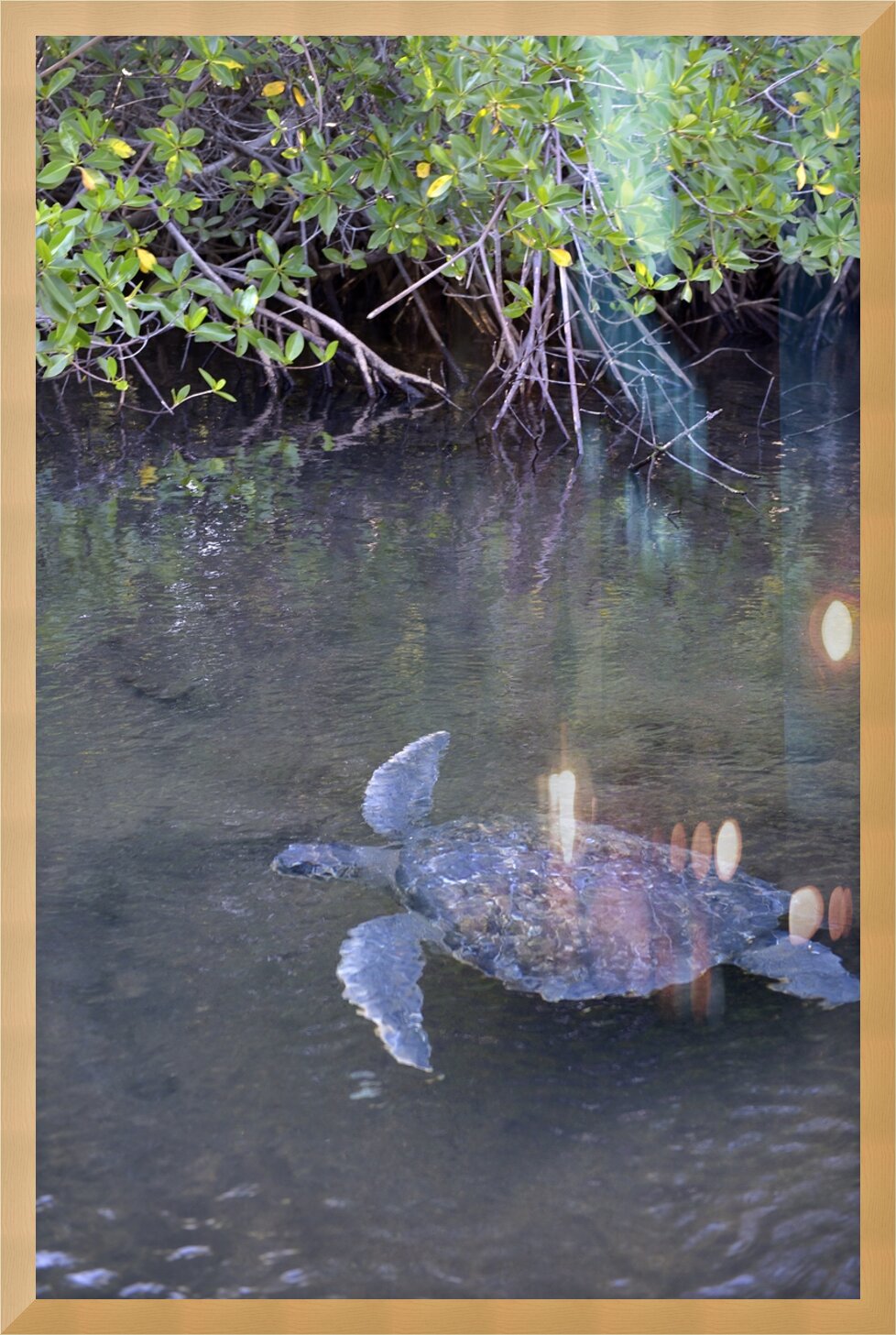 Impression de cadre personnalisé