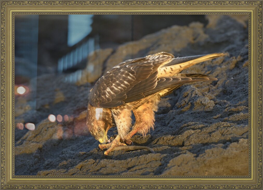 Impression de cadre personnalisé