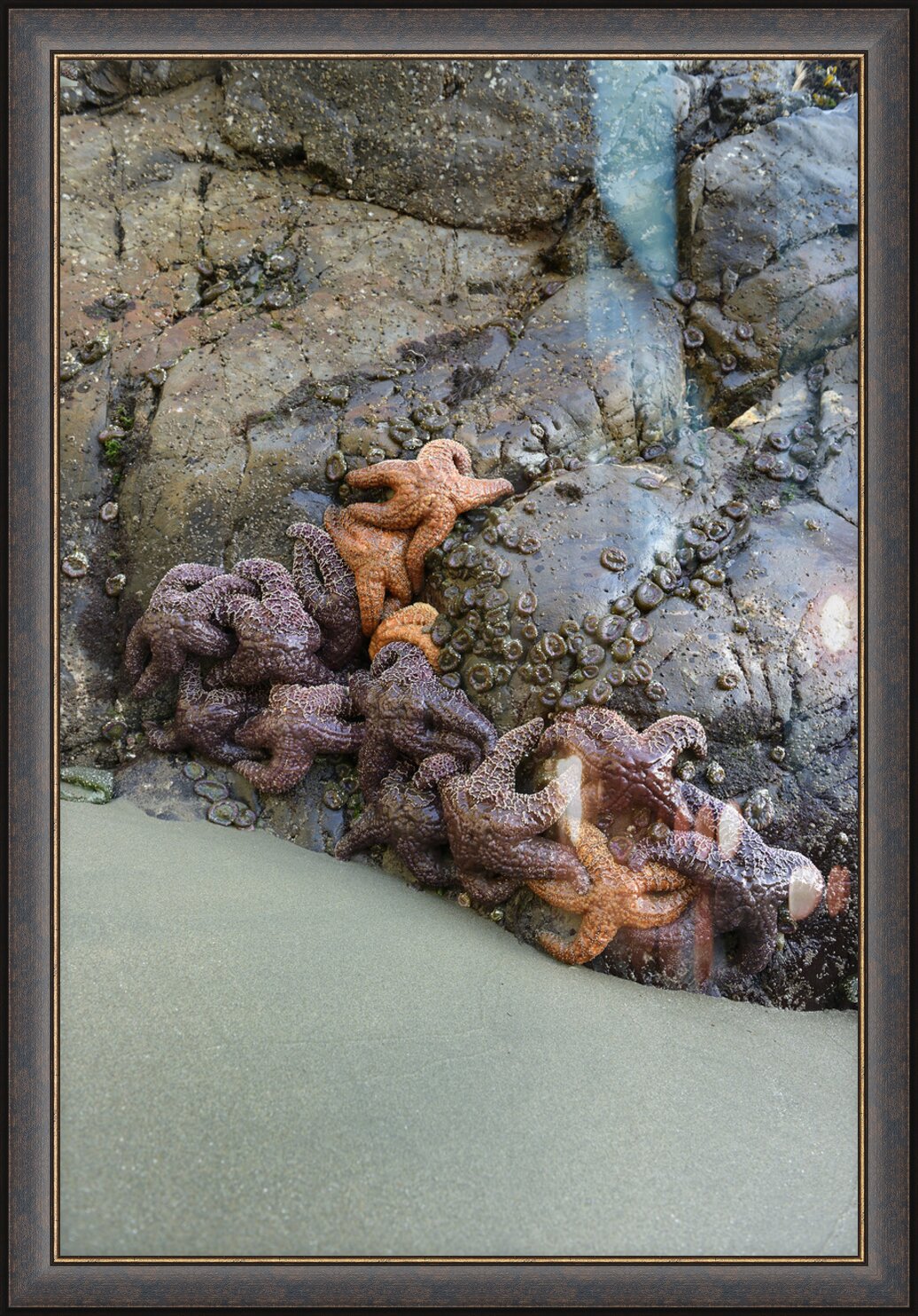 Impression de cadre personnalisé