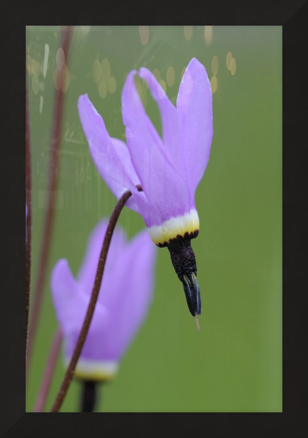 Impression de cadre personnalisé