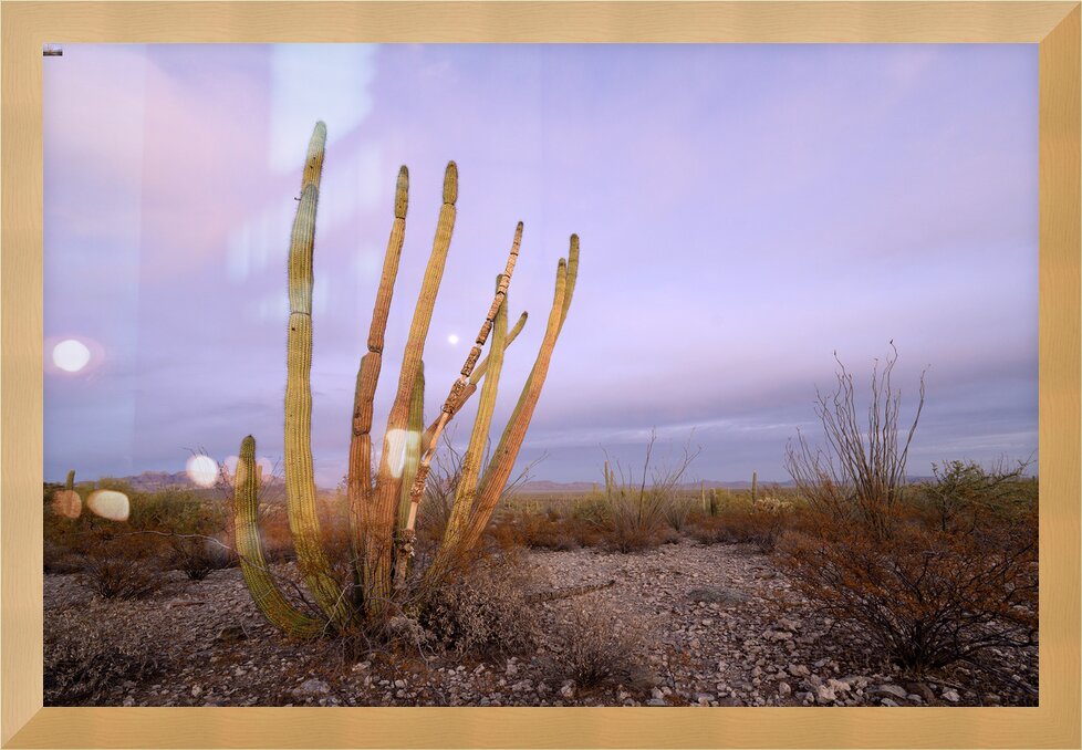 Impression de cadre personnalisé