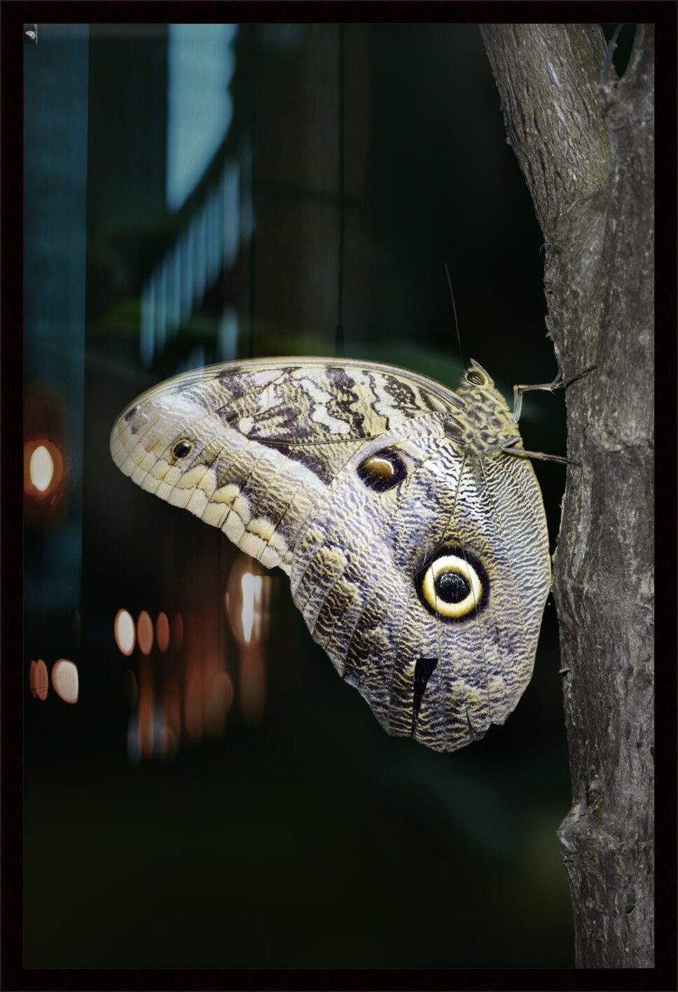 Impression de cadre personnalisé