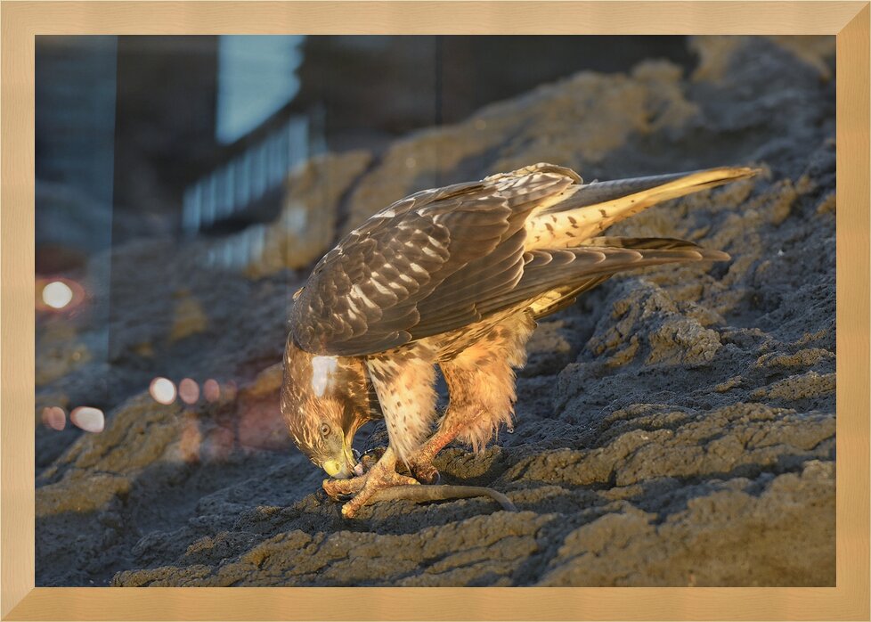 Impression de cadre personnalisé