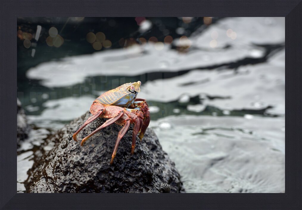 Impression de cadre personnalisé