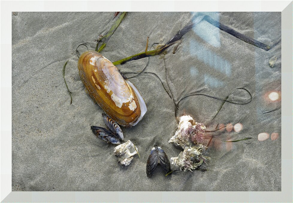 Impression de cadre personnalisé