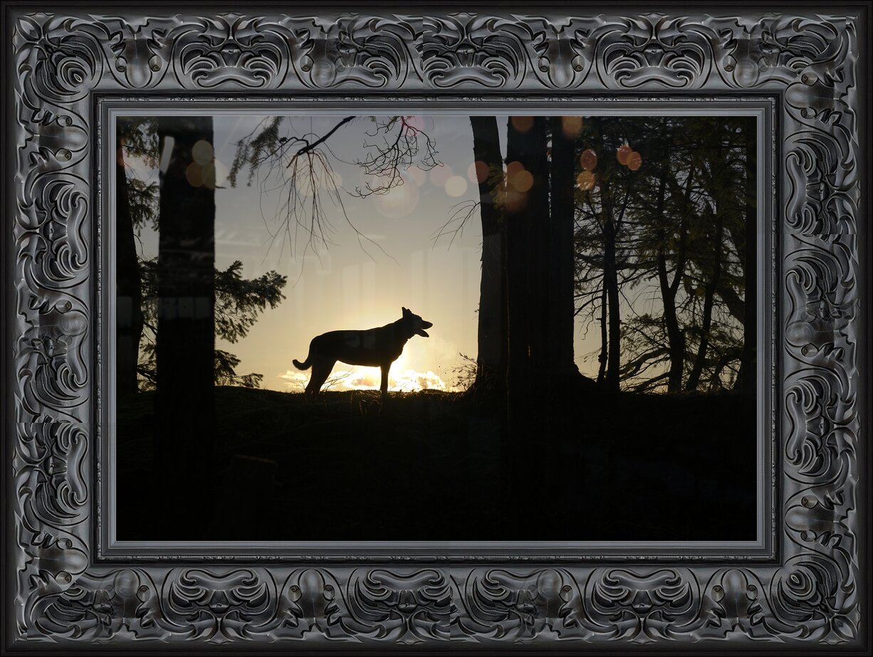 Impression de cadre personnalisé