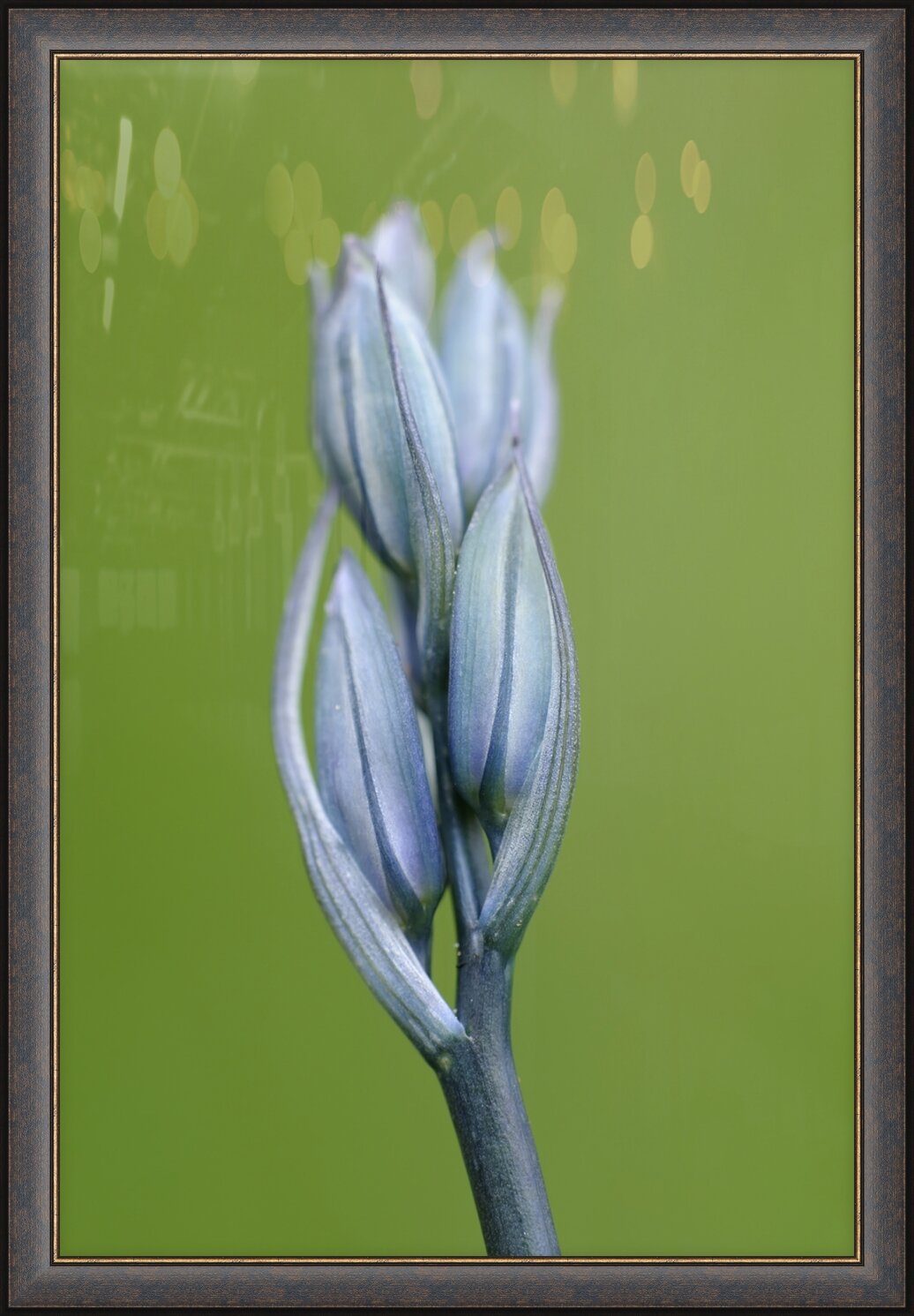 Impression de cadre personnalisé