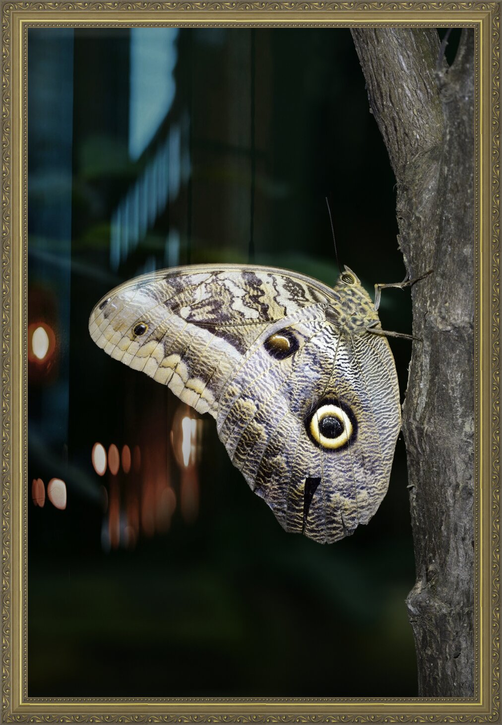 Impression de cadre personnalisé