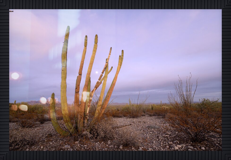 Impression de cadre personnalisé