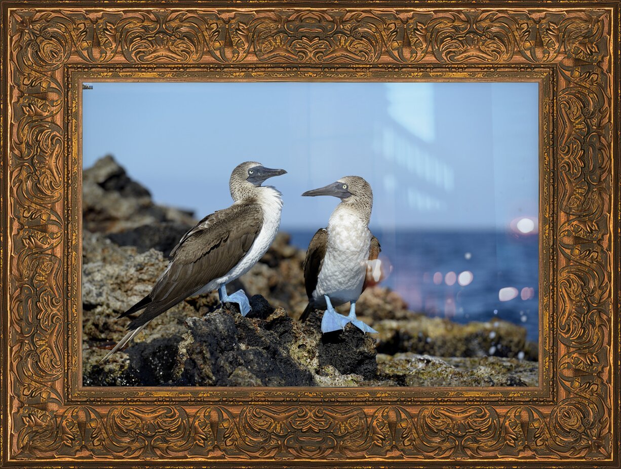 Impression de cadre personnalisé