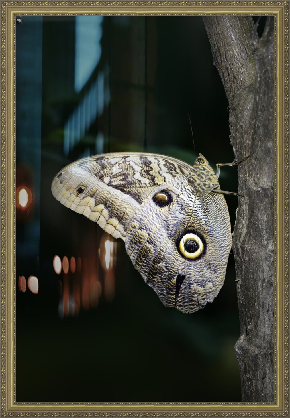 Impression de cadre personnalisé