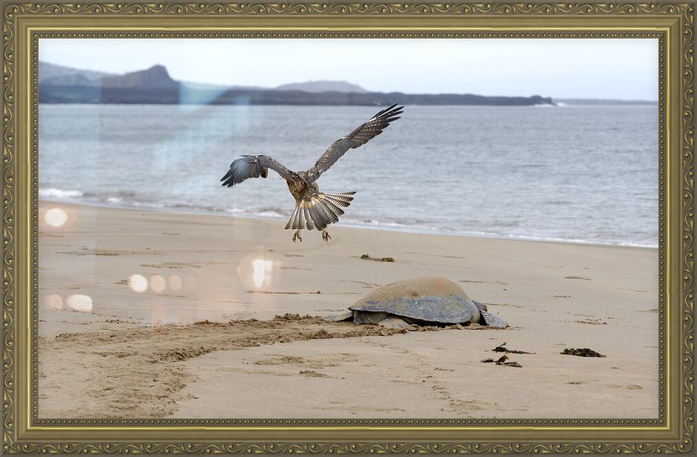 Impression de cadre personnalisé