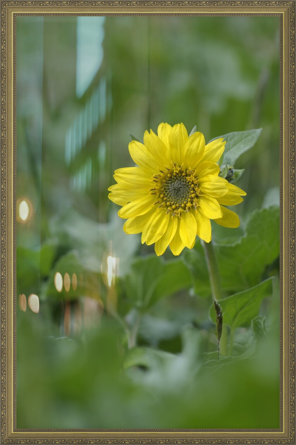 Impression de cadre personnalisé