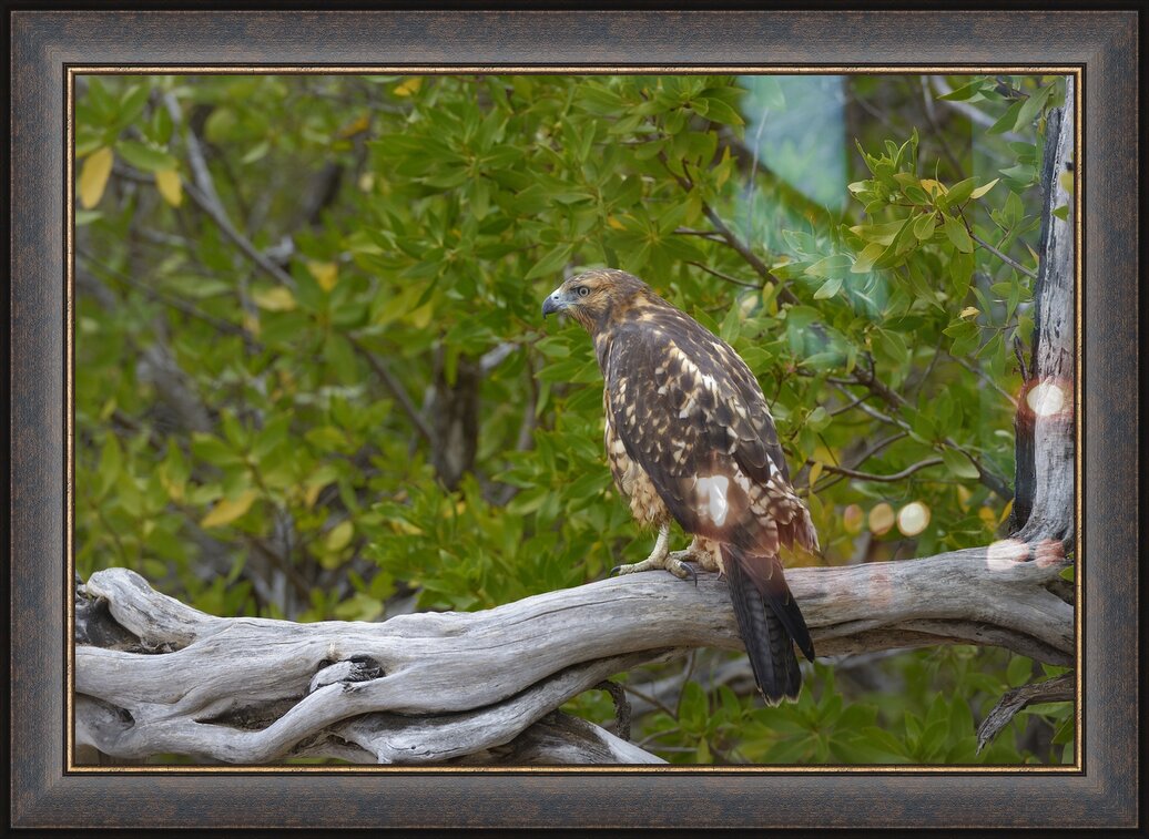 Impression de cadre personnalisé