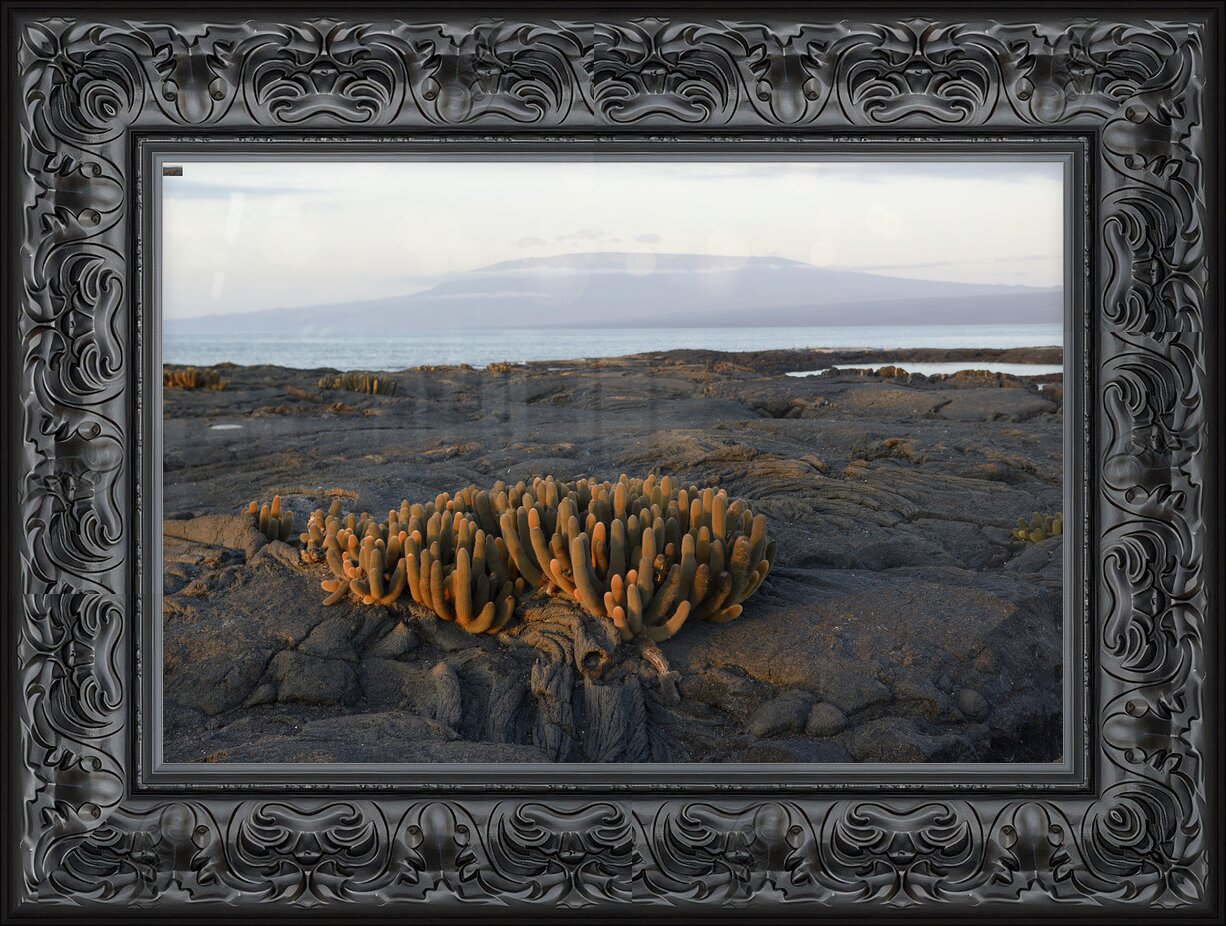 Impression de cadre personnalisé