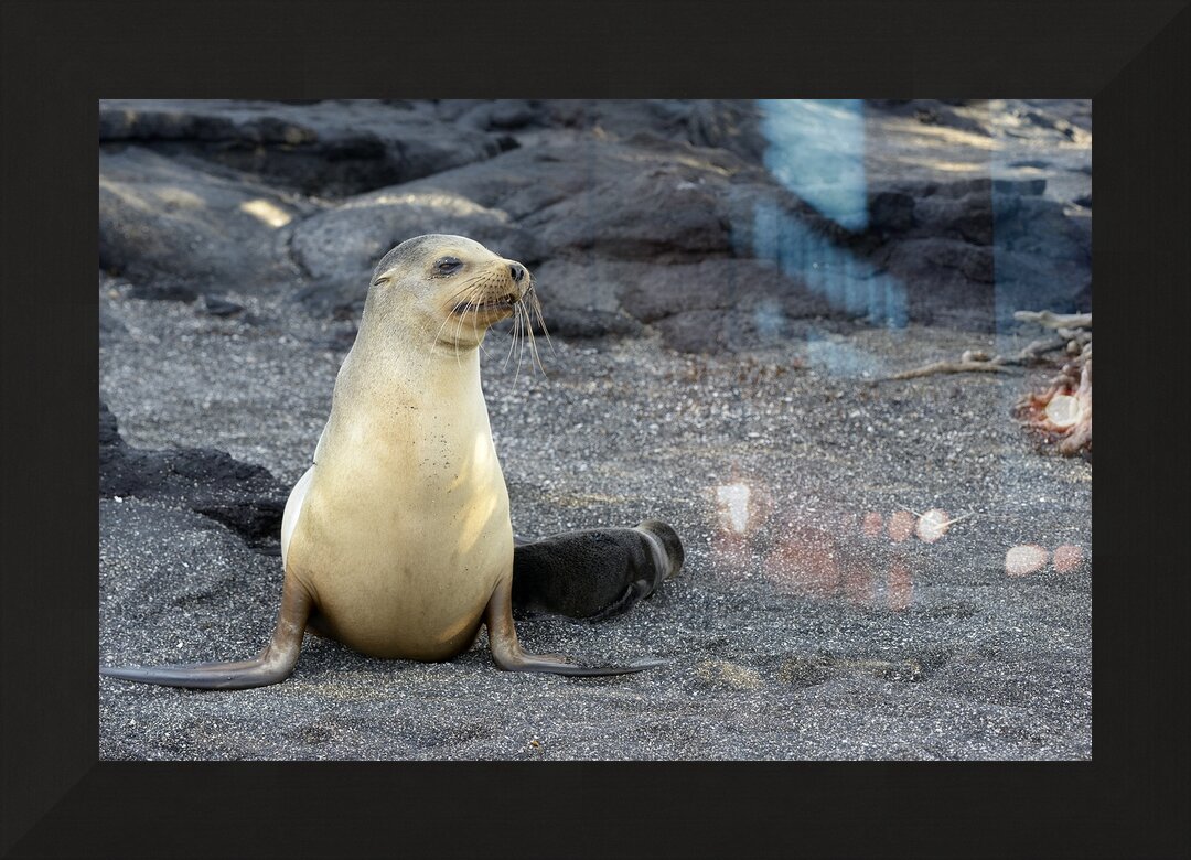 Impression de cadre personnalisé