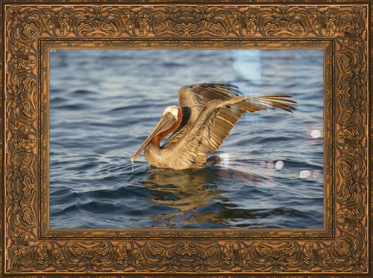 Impression de cadre personnalisé