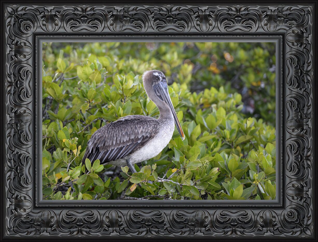 Impression de cadre personnalisé