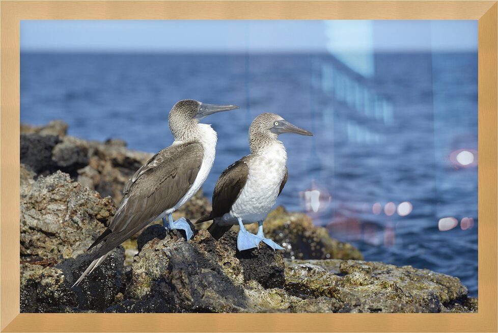 Impression de cadre personnalisé